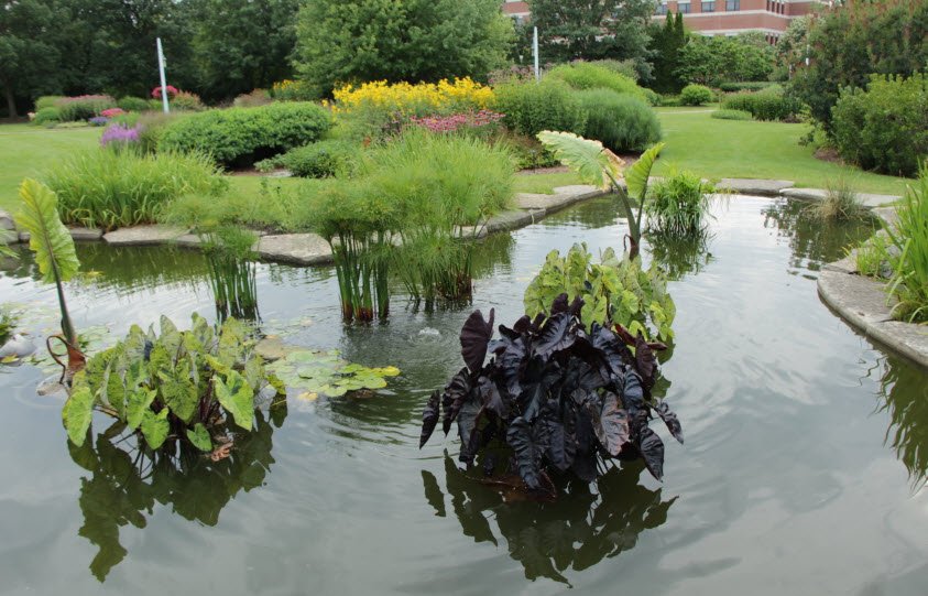 Michigan State University Horticulture Gardens, United States